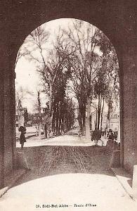 Sidi bel abbes 358